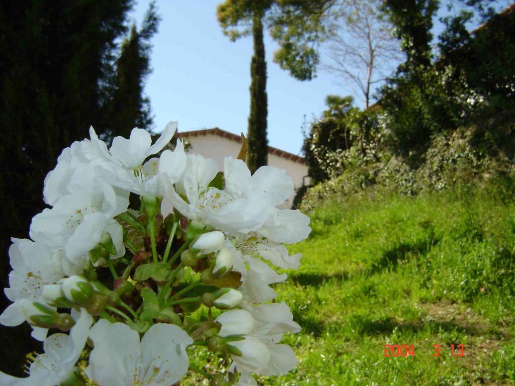 Podere"Sulle Soglie Del Bosco" Appartament And Rooms Pescia Exterior foto